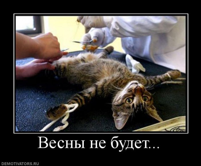 vesna.jpg