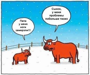 снег