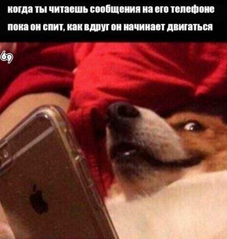 1512321491.jpg (44.91 КБ) 4292 просмотра Дааа!;)