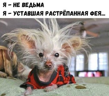 IMG_20180730_222050_1.jpg